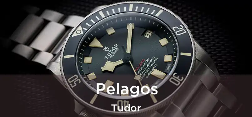 Pelagos Tudor