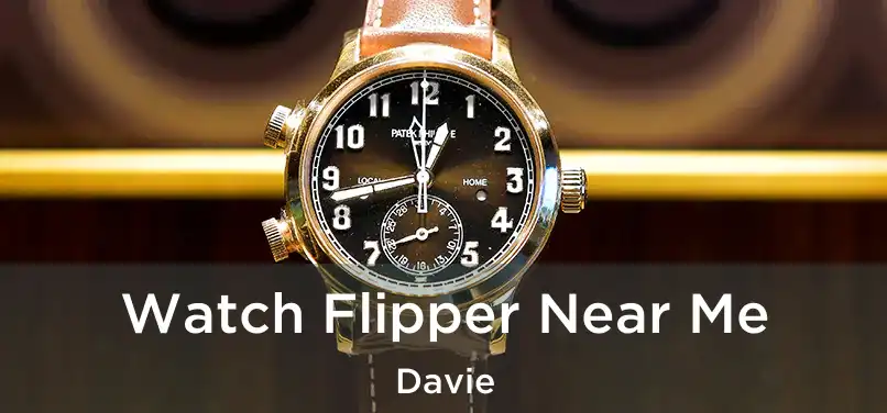 Watch Flipper Near Me Davie